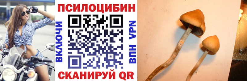 Псилоцибиновые грибы прущие грибы  Чебаркуль 
