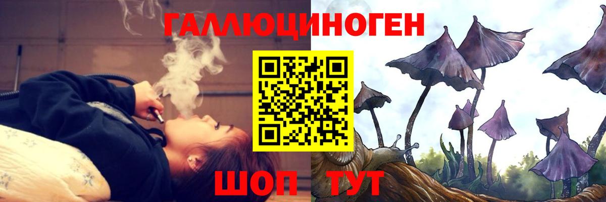 Чебаркуль  магазин  наркотиков  Вход с VPN  Галлюциногенные грибы Psilocybe 